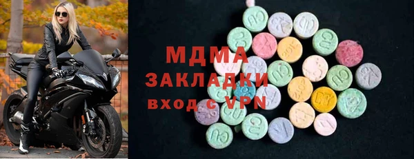 индика Алексин