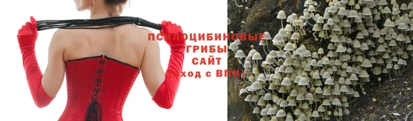 индика Алексин