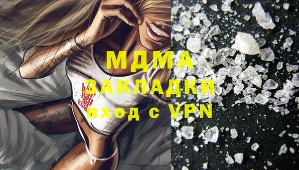 индика Алексин
