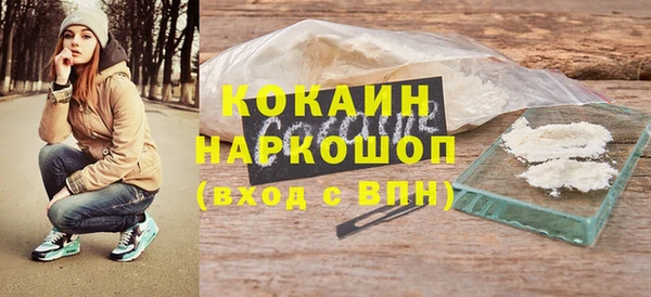 индика Алексин