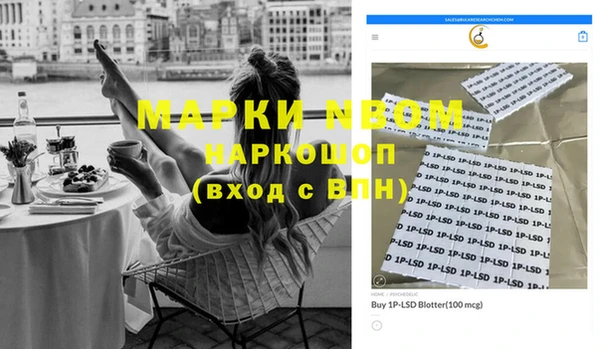 индика Алексин