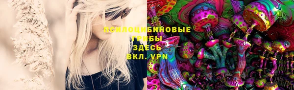 индика Алексин