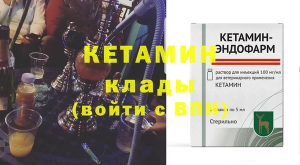 индика Алексин