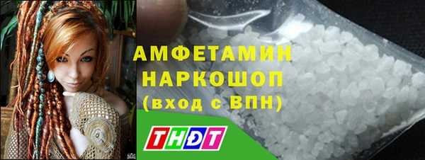 индика Алексин