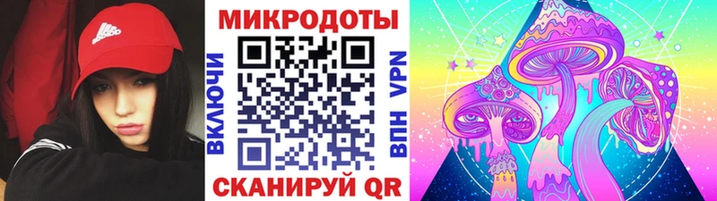Галлюциногенные грибы мухоморы  где купить   Мышкин 